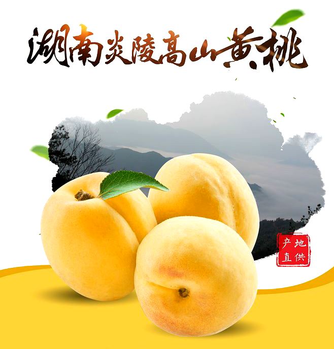 湖南地標品牌農產品-炎陵黃桃