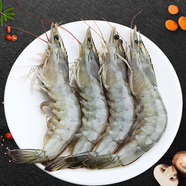 海鮮凍品質量追溯-二維碼防偽溯源系統