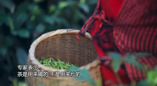 “一餅茶葉可以買一輛寶馬”專家表示茶是用來喝的,不是用來炒的